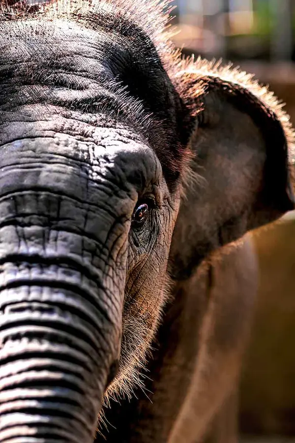 canais discovery IPTV